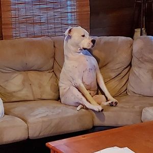 Meet your Posher, Douglas